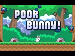 Poor Bunny