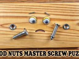 Wood Nuts Master: Screw Puzzle browser game