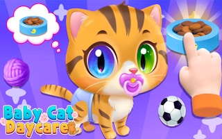 Baby Cat Daycare